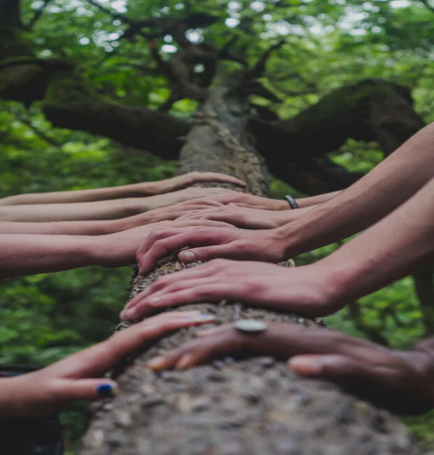 Trees & Hand